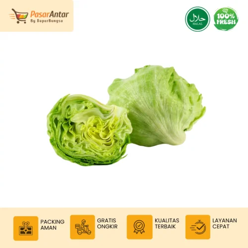 Lettuce Segar